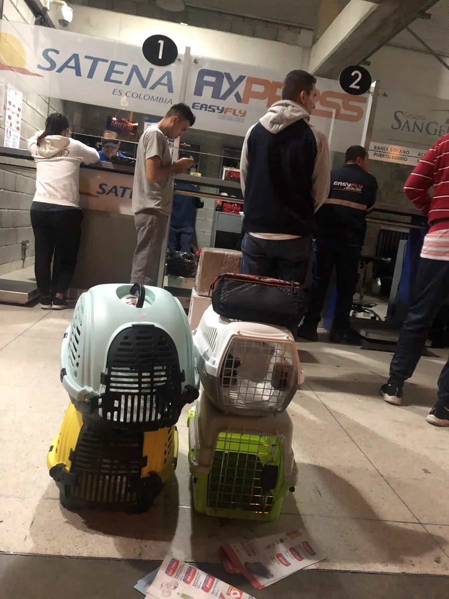 Guacal homologado IATA