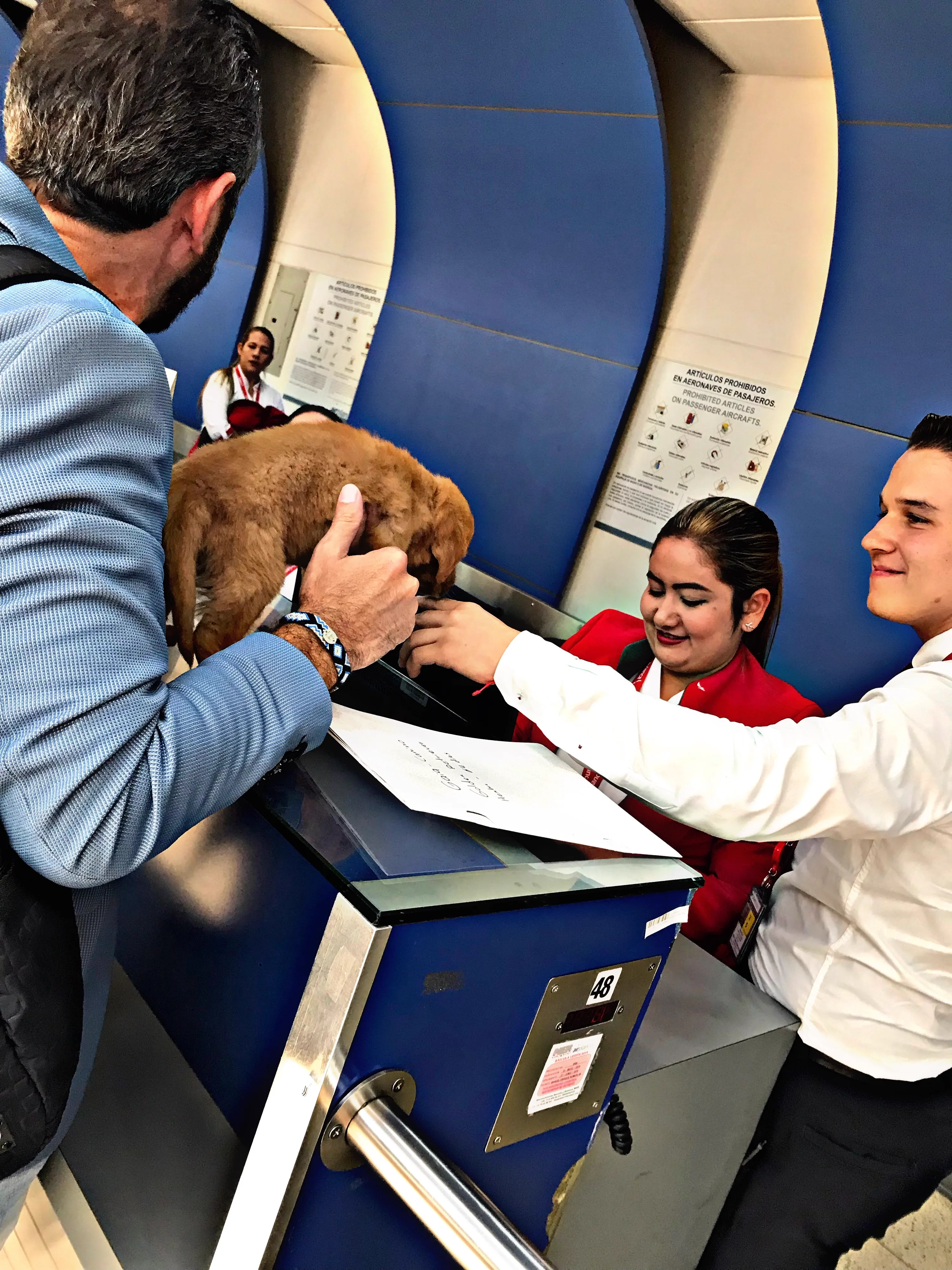 Entrega de cachorro en aeropuerto