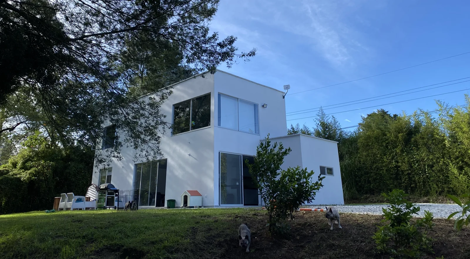 Casa familiar con jardín y perro en Colombia