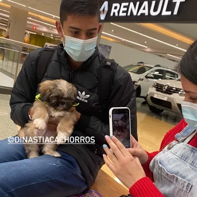 Entrega familiar Sabaneta