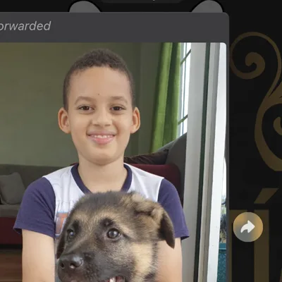 Niño con Pastor Alemán